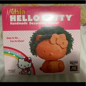 Hello kitty Chia Pet